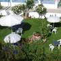 Горящие туры в отель Joanna Apartments - 1