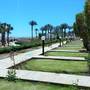 Горящие туры в отель Sheraton Sharm Hotel, Resort, Villas & Spa - 2