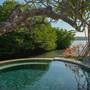 Горящие туры в отель Mimpi Resort Menjangan - 2