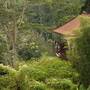 Горящие туры в отель Kupu Kupu Barong Villas and Tree Spa by L’OCCITANE - 6