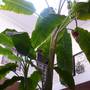 Горящие туры в отель Riad Marhbabikoum - 6