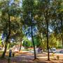 Горящие туры в отель Centinera Resort - 5