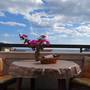 Горящие туры в отель Apartmani Villa Vukovic - 3