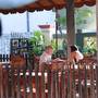 Горящие туры в отель Sumal Villa - 4