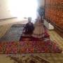 Горящие туры в отель Samarkand Dream Hotel - 6