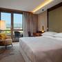 Горящие туры в отель Sheraton Grand Tbilisi Metechi Palace - 5