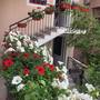 Горящие туры в отель Apartments Balabusic - 4