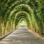 Горящие туры в отель The Royal Purnama - Art Suites and Villas - 3
