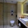 Горящие туры в отель Hotel Royale Regent - 6