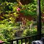 Горящие туры в отель Wald Hotel Lagodekhi - 2