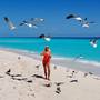Горящие туры в отель Solymar Cancun Beach Resort - 5