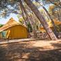 Горящие туры в отель Camping Pinell - 3