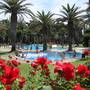 Горящие туры в отель Camping Vall d'Or - 3