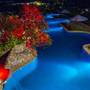 Горящие туры в отель Pacific Club Resort - 4