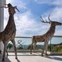 Горящие туры в отель HILLSTONE BODRUM HOTEL - 6