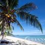 Горящие туры в отель Chang Phueak Phangan Resort - 2