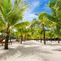 Горящие туры в отель Milana Beach Resort & Spa - 4