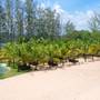 Горящие туры в отель Milana Beach Resort & Spa - 6