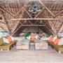 Горящие туры в отель Fun Beach Hotel - 4