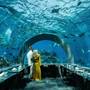 Горящие туры в отель You & Me by Cocoon Maldives - 6