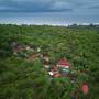 Горящие туры в отель Amritara Aura Spa Retreat Goa - 3