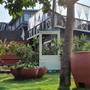 Горящие туры в отель The Regalia Luxury Resort - 5