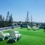 Горящие туры в отель Nature Pine Residence - 5