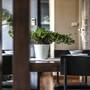 Горящие туры в отель The Tepp Aparthotel - 6