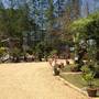 Горящие туры в отель Airport Phuket Garden Resort - 4