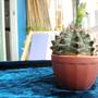 Горящие туры в отель Hua Hin Lubsabai Hostel - 3