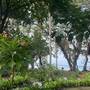 Горящие туры в отель JOY Bungalow Resort and Restaurant - 2