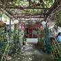 Горящие туры в отель Patty's Secret Garden - 3