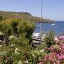 Горящие туры в отель Arriba Pension & Restaurant - 4