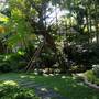 Горящие туры в отель Viang Thapae Resort - 4