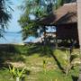 Горящие туры в отель Cocobar&Bungalow - 6
