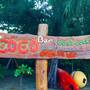 Горящие туры в отель Cocobar&Bungalow - 2