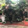 Горящие туры в отель Pine Bungalow Krabi - 1