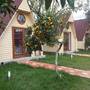Горящие туры в отель Kaz Daglari Idavilla Bungalow Hotel - 4