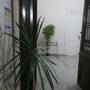 Горящие туры в отель Safary Hostel - 2