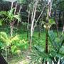 Горящие туры в отель Krabi Klong Muang Bay View Resort - 6