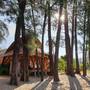 Горящие туры в отель Long Beach Chalet - 3
