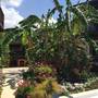 Горящие туры в отель Paradise Garden Apartments - 4