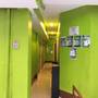 Горящие туры в отель Papaya Guest House - 2