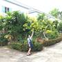 Горящие туры в отель J.Holiday Inn Krabi - 5