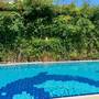 Горящие туры в отель Villa Danlin Hotel - 6
