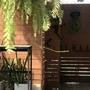 Горящие туры в отель Sidewalk Boutique Hotel - 2