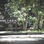 Горящие туры в отель Blu Monkey Pooltara Krabi Hotel and Villas - 3