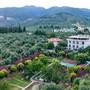 Горящие туры в отель Kazdaglari Ida Natura Hotel - 3