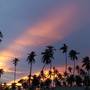 Горящие туры в отель Zanzibar Bahari Villas - 5