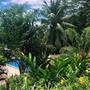 Горящие туры в отель Eden Hills Residence, Anse Boileau - 4